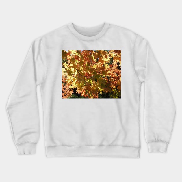 Maple Leaves in the Fall Crewneck Sweatshirt by rconyard